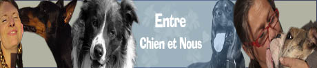 Entre Chien et Nous. Site consacré au chien : Informations, conseils, fiches de races, annuaire de locations de vacances qui acceptent les chiens... 