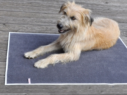 Large dog/cat incontinence pad (100 x 70) 