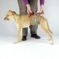 Dog diaper for small male dogs-7