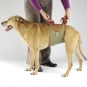 Dog diapers for large male dogs Set-of-9-7
